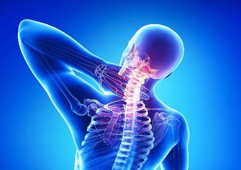 Neck bone and chondropathy